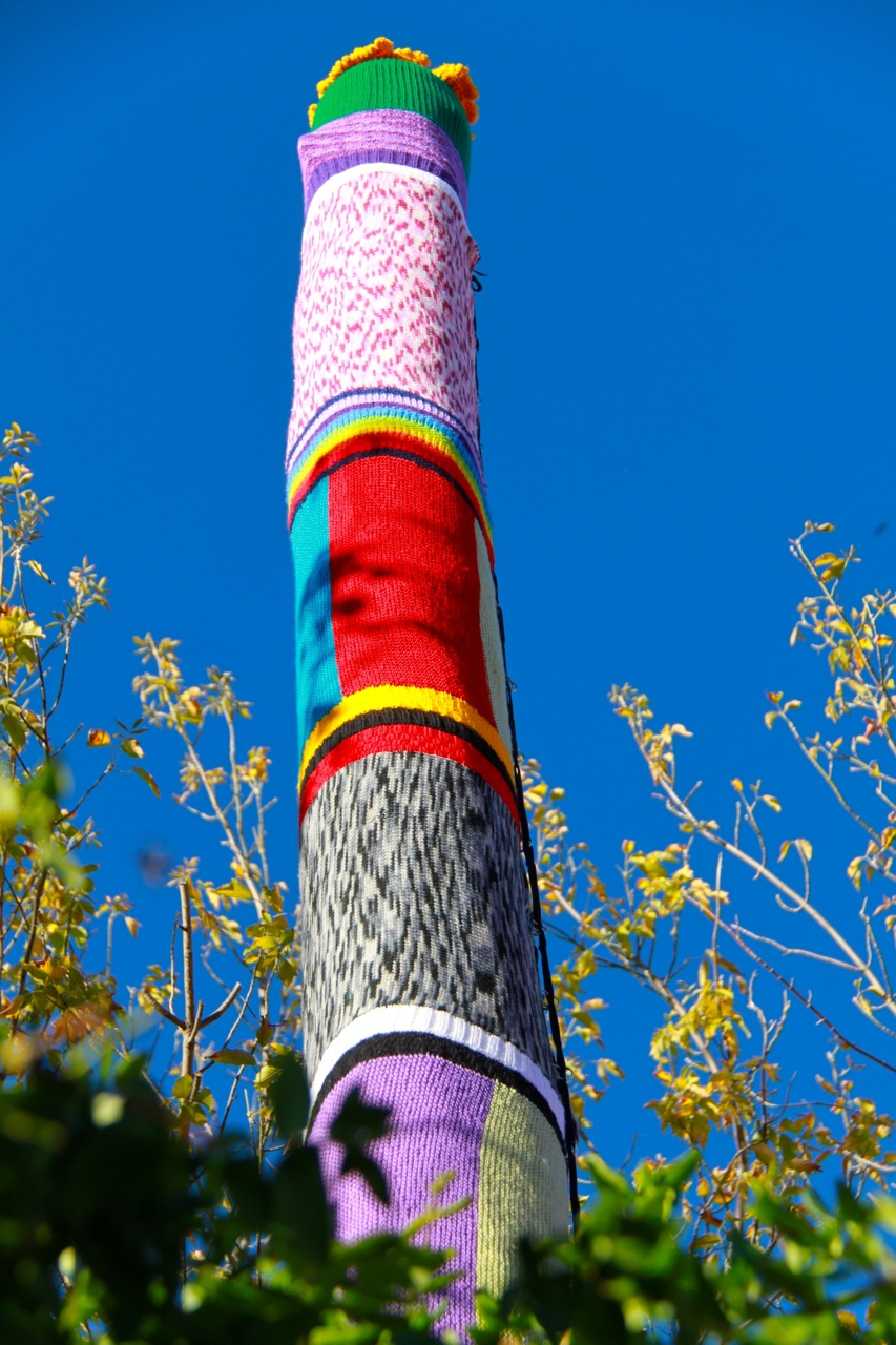 Hand-knitted cosy on a power pole